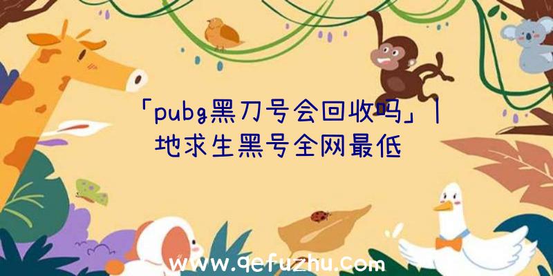 「pubg黑刀号会回收吗」|绝地求生黑号全网最低